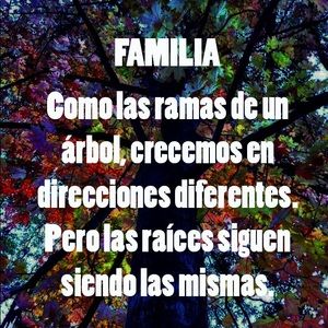 Meet your Posher, Rosa